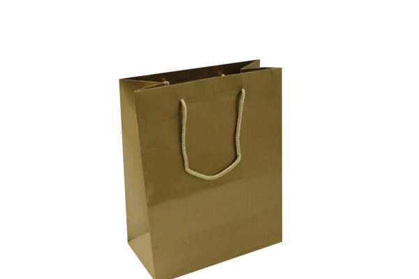 X48 Small Gold Paper Bags Dimensions 110mm(W) x 70mm(G) x 140mm(H).