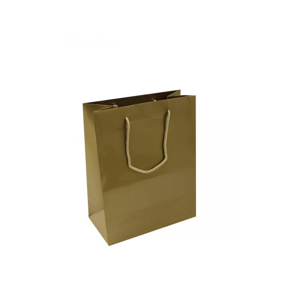 X48 Small Gold Paper Bags Dimensions 110mm(W) x 70mm(G) x 140mm(H).