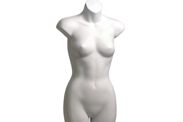 White Female Small/Medium Torso With Hanging Hook. Height 770mm