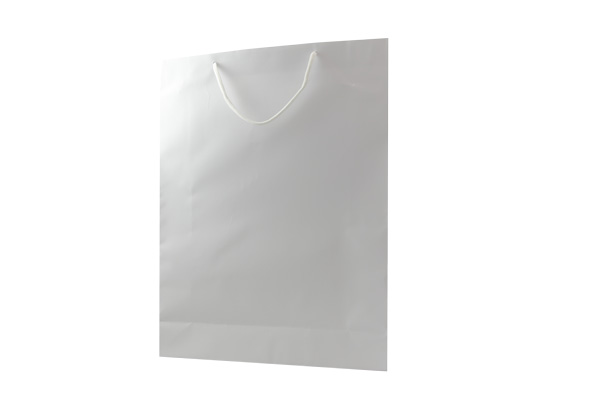 Large White Matte Gift Paper Bags pack of 24. Dimensions - 31.5cm(W) x 42cm(H) x 10cm(G).