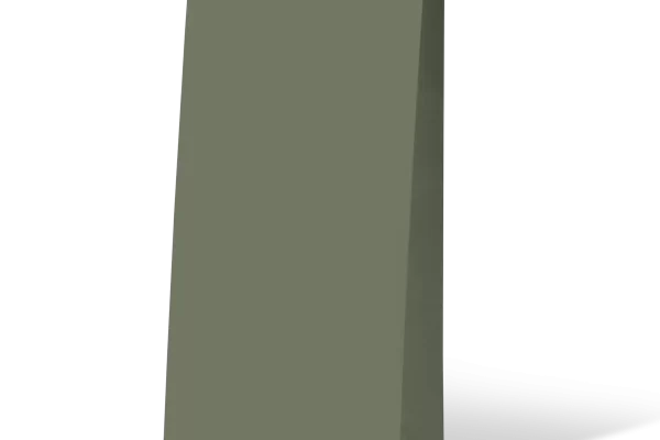 Carton of 500 Paper Bag Gift Bags in Green