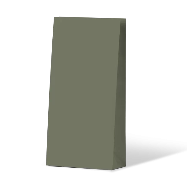 Carton of 500 Paper Bag Gift Bags in Green